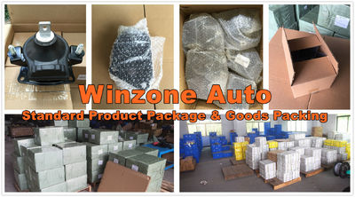 Guangzhou WINZONE Auto Parts Co., Ltd.
